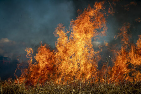 Spring Pasture Burning Image